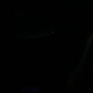 Meet your Posher, Savannah